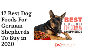 12 Best Dog Foods For German Shepherds To Buy in 2020