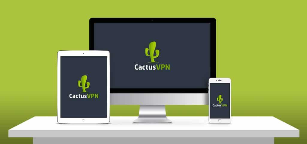 Cactus VPN Reviews